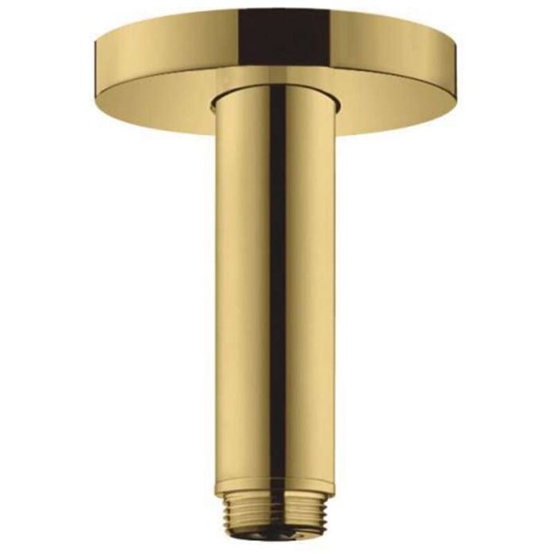 Raccordement au plafond s 100 mm, 27393990 - Hansgrohe