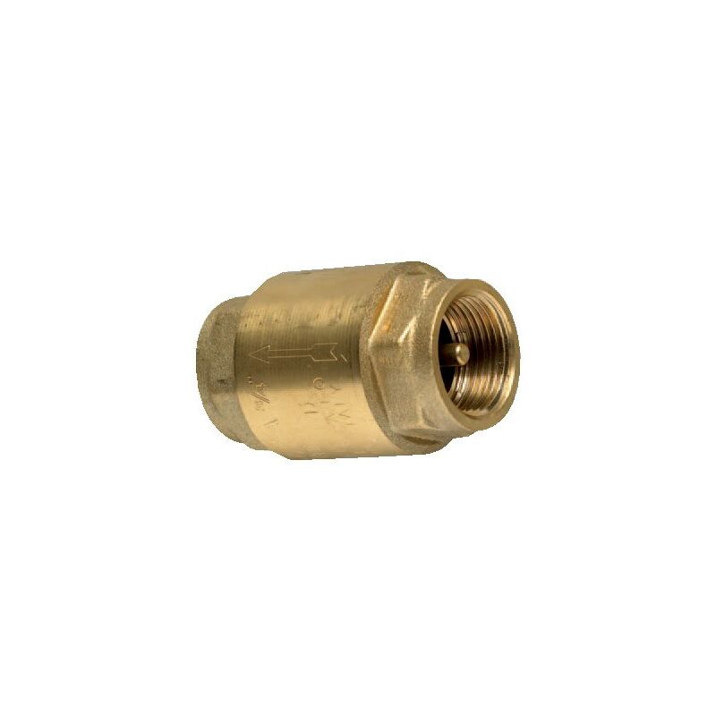 NRV8B 1/2 bsp Brass Non Return Valve - Vale