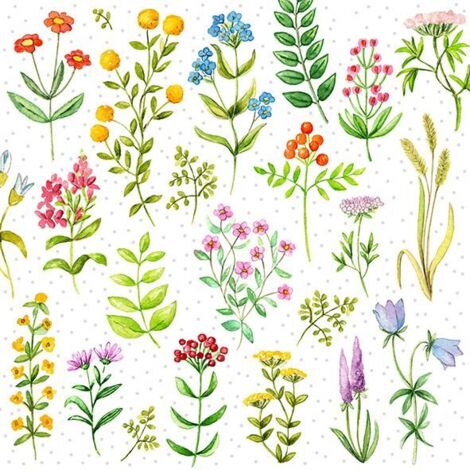 Braun & Company Servietten bunt 33 x 33 cm 20er Pack Papierserviette