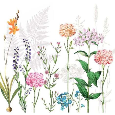 Braun & Company Servietten Motiv Botanica 33 x 33 cm - 20er Pack Partydekoration