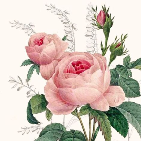 Braun & Company Servietten Motiv Wonderful Rose 25x25cm 20er Pack Tischdeko