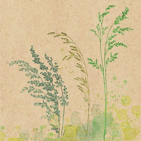 Braun & Company Servietten natur grün 33 x 33 cm - 20er Pack Partydekoration