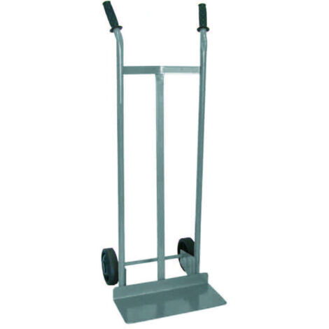 Bravetta 2 Ruote Piene Portapacchi Portata 120 Kg Carello da Lavoro Portatutto