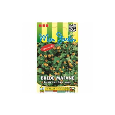 Brède mafane cresson de para jaune 0,2g – Semis direct fin mai/juin – Plante aromatique comestible pour salades et sauces – Graines Bocquet