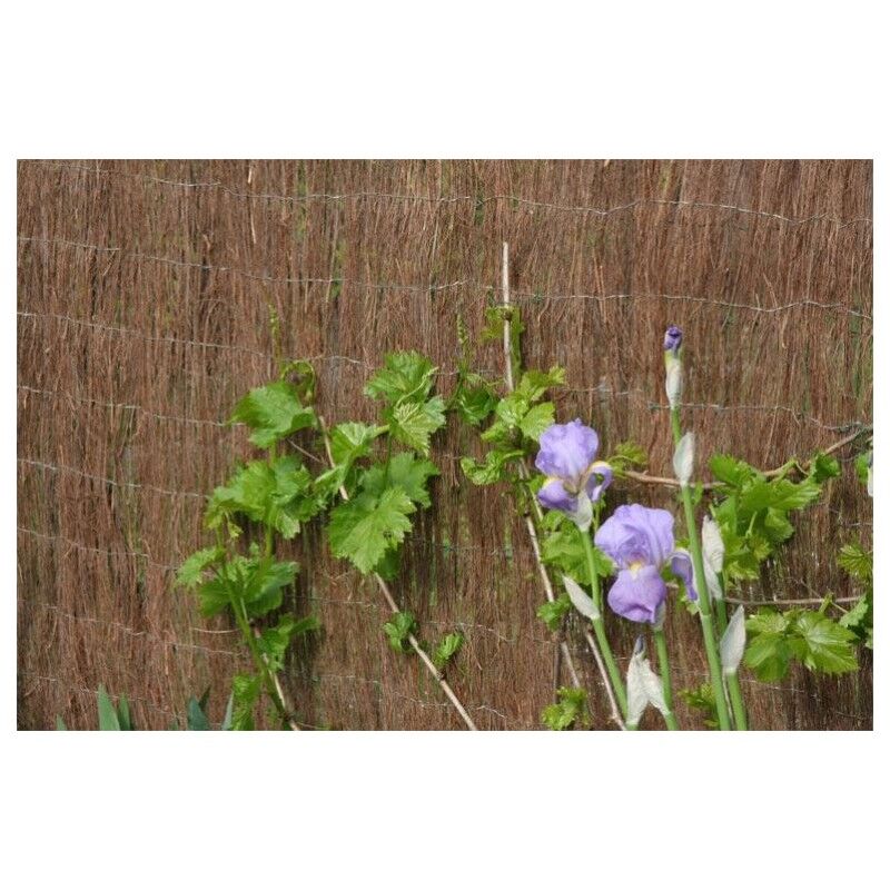 

Brezo de Importación - Ecolo 2 Extra | SELECCIONE LA MEDIDA| VARIAS MEDIDAS - 2x5m