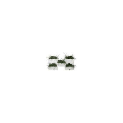 Brick Kit Jardineras Modulares Kit 5 Pzas - Bama Color Crema