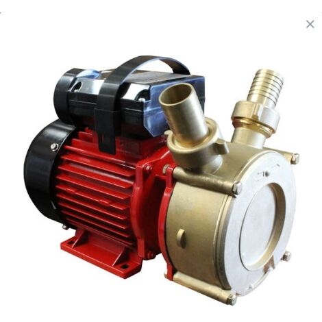 Bricoferr Bomba de Trasvase 35L/min, 400W, Altura Máxima 10m