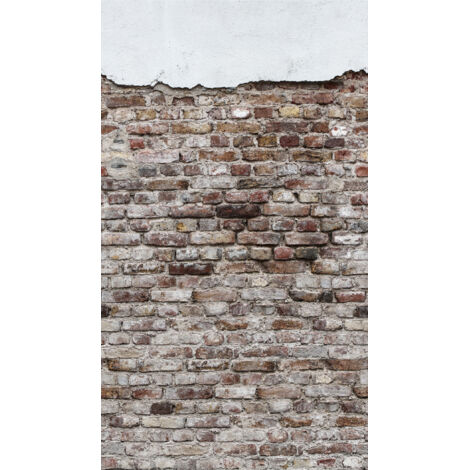 BRICOFLOR Papier Peint The Wall 383331