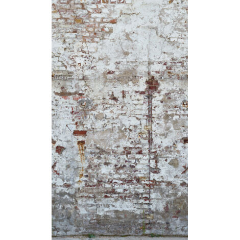 BRICOFLOR Papier peint The Wall II 392381
