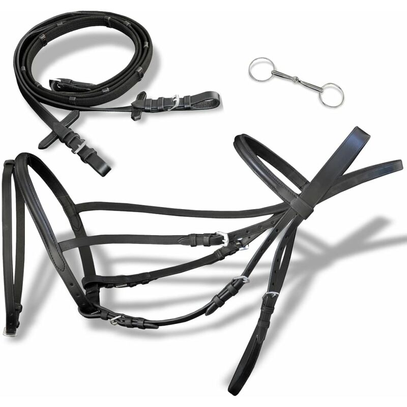 

Brida Flash de Cuero Negro con Riendas y Bocado (Caballo Percherón) - Negro