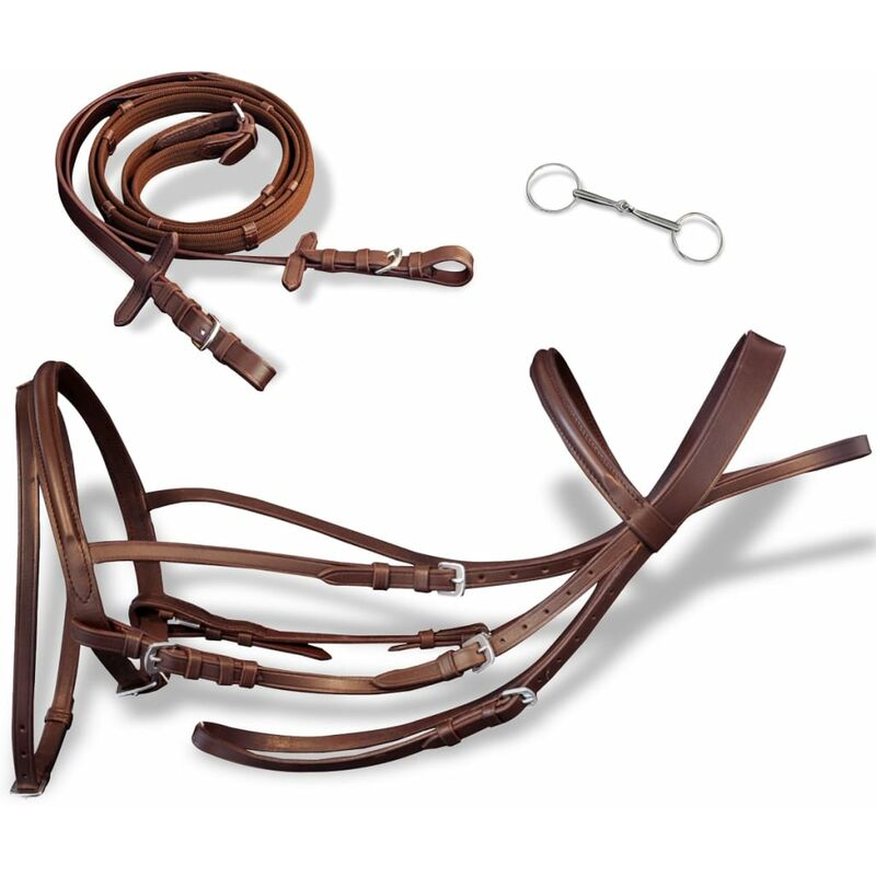 

Brida Flash de Cuero Marrón con Riendas y Bocado (Caballo Percherón)
