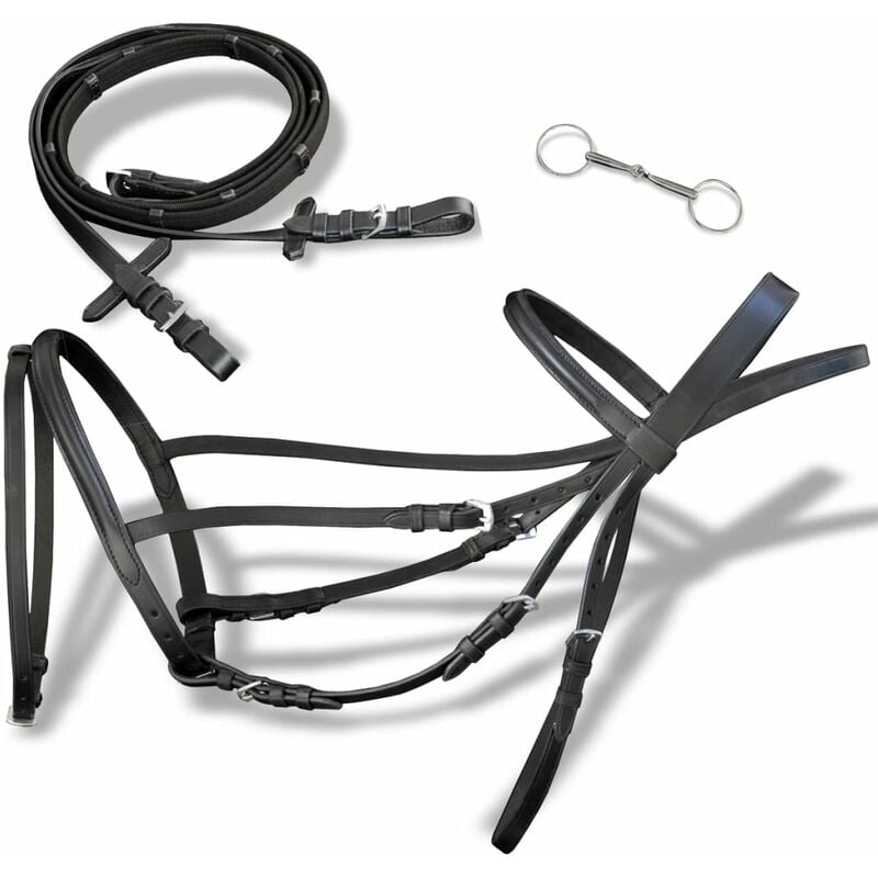 

Youthup - Brida Flash de Cuero Negro con Riendas y Bocado (Caballo Percherón) - Negro