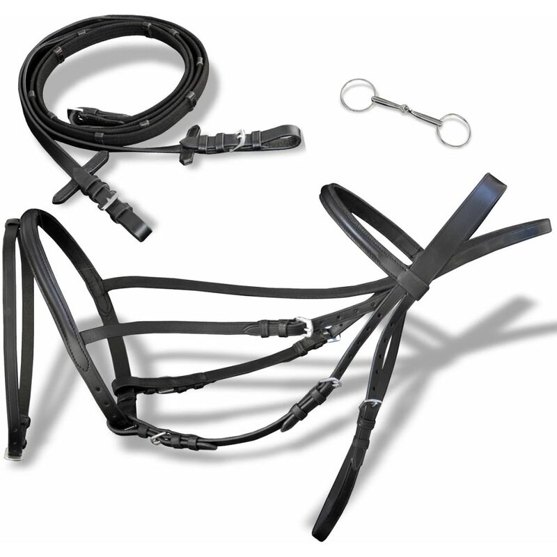 

Brida Flash de Cuero Negro con Riendas y Bocado (Poni)