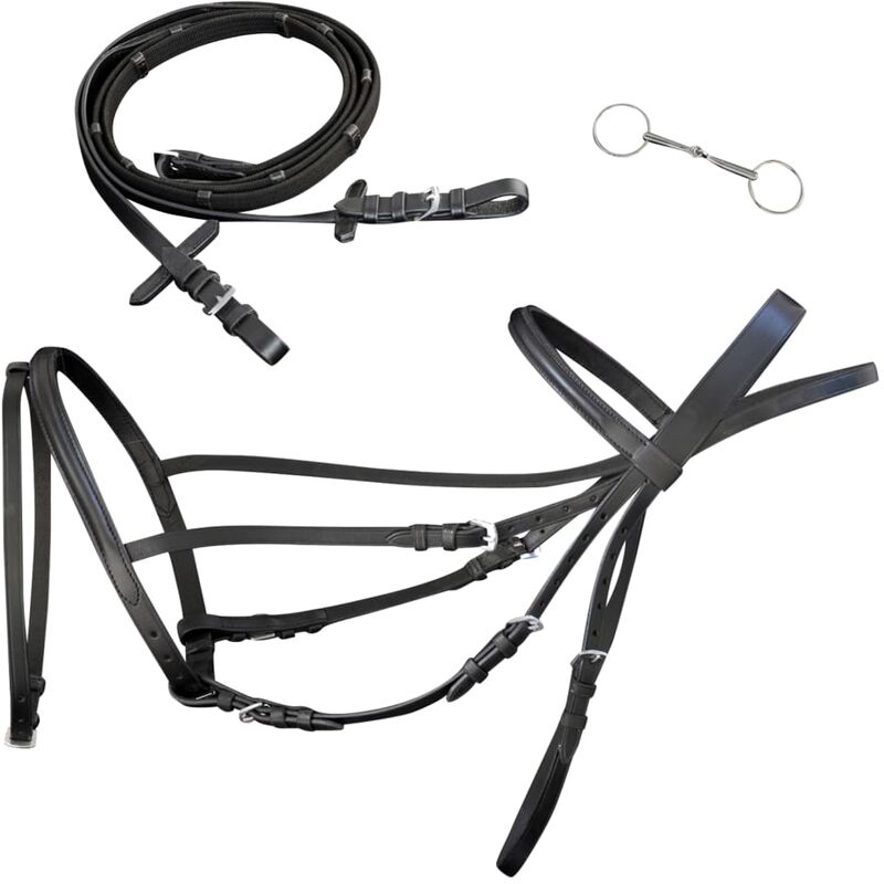 

Brida Flash de Cuero Negro con Riendas y Bocado (Poni) - Negro