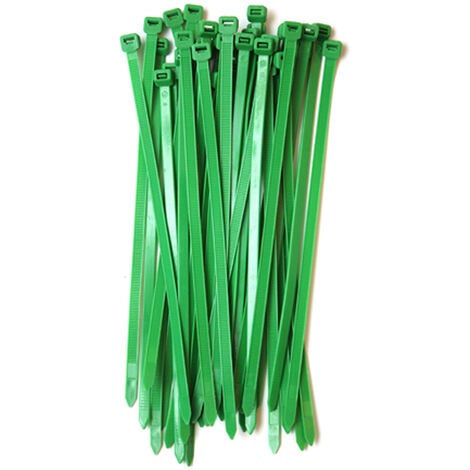 EUROBRIC Bridas 2,5x100 verde 50 unidades