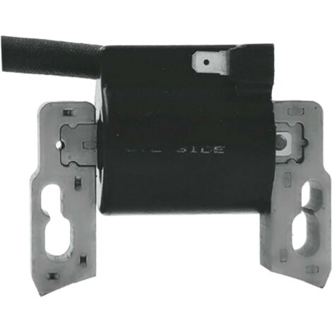 Brigg & Stratton Bobina elettronica 100602 100607 100802 100807 10080B