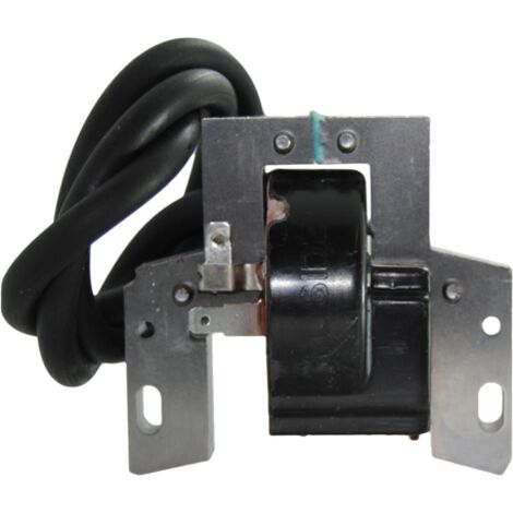 Brigg & Stratton Bobina elettronica 17, 19, 22, 25, 32