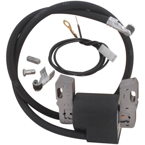 Brigg & Stratton Bobina elettronica motori 8/12 HP orizzontale verticale