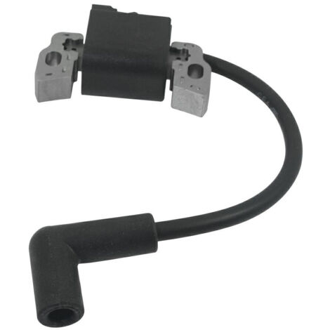 Brigg & Stratton Bobina elettronica motori OHV serie 110000 120000