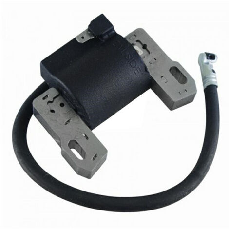Brigg & Stratton Bobina elettronica nuovi motori Vanguard bicilindrici