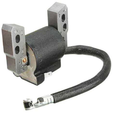 Brigg & Stratton Bobina elettronica Quantum Power e Intek modelli 11-12P