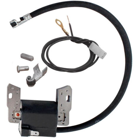 Brigg & Stratton Bobina elettronica vecchi motori 3 3,5 4 HP