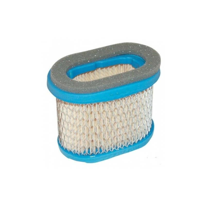 Briggs&stratton - 697029 - Filtre à air pour moteur briggs et stratton