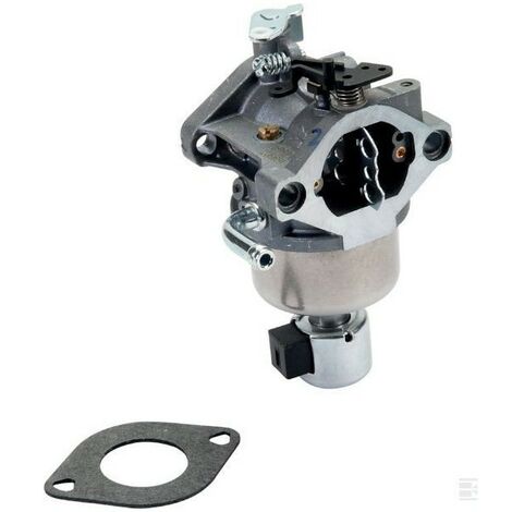 Briggs & Stratton – 594593 – Carburateur complet pour moteur – Compatible avec modèles 282H07, 31A707, 31C707, 31G777, 31L777