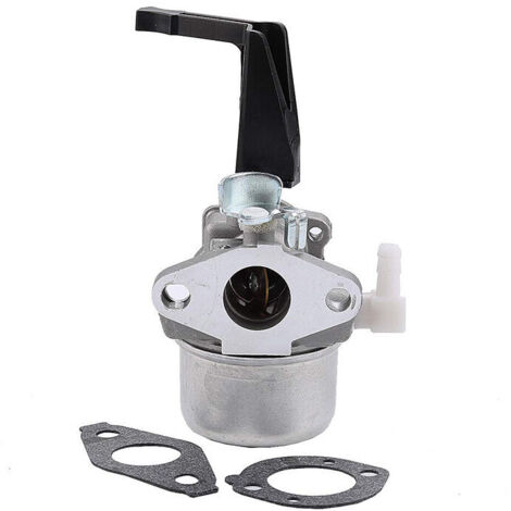 Briggs & Stratton 696065 Carburateur avec joint de montage