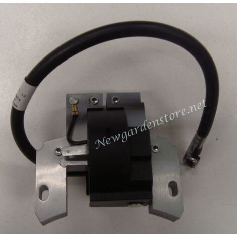 BRIGGS & STRATTON 793281 398593 4969 Classic Sprint Four bobine de moteur de tondeuse à gazon