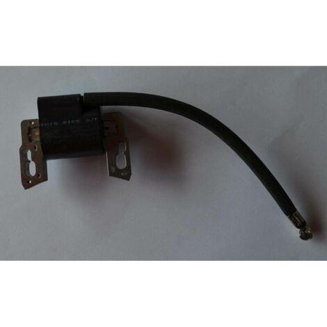 Briggs & Stratton 797040 Encendedor de alto voltaje con bobina de encendido
