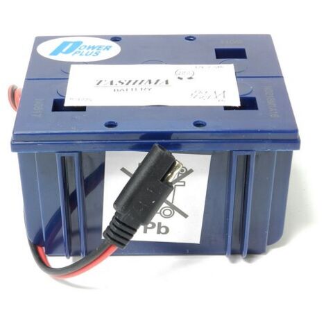 Briggs & Stratton – Batterie tondeuse 12V 2.5Ah – Compatible tondeuses à démarrage électrique – Dimensions 110x86x69mm – Bornes faisceau
