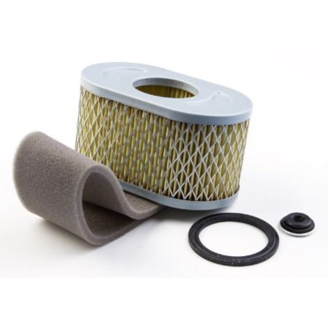 Briggs & Stratton Cartuccia Filtro dell’Aria Originale 797033