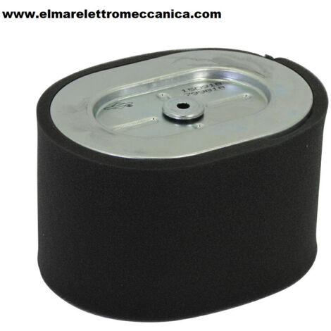 BRIGGS & STRATTON Filtro aria motori orizzontali 25T200. Misure 133x97x90 mm 310301