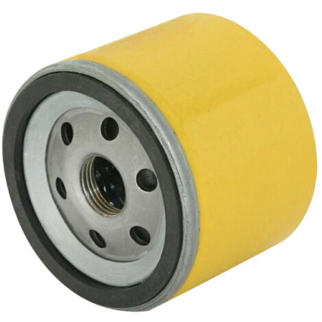 BRIGGS & STRATTON Filtro Olio Diam esterno 76mm Foro 3/4" H62 mm 310090