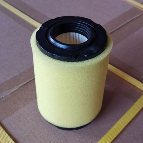 Briggs & Stratton genuine air filters, applicable part numbers 796031, 594201, 591334, 590825, engine intake air filters.