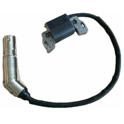 Briggs & Stratton Ignition 595304 799650 795315 Paquete de encendido de alto voltaje