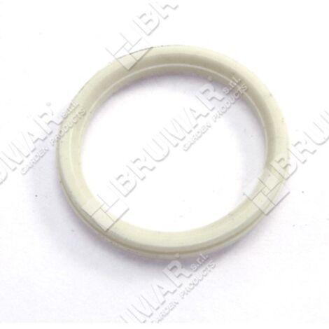 BRIGGS & STRATTON Joint de retenue 697478 - 026082