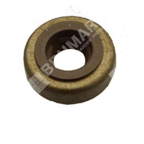 BRIGGS & STRATTON Joint de soupape 590410 - 048006