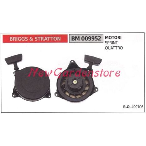 BRIGGS & STRATTON moteur tondeuse à gazon tondeuse à gazon 009952
