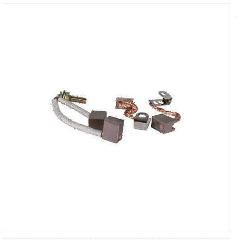 BRIGGS & STRATTON tracteur de pelouse kit de brosses de démarrage 490311
