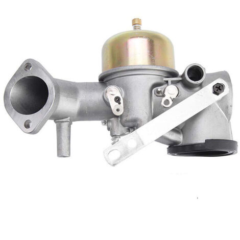 Briggs & Stratton Vergaser 491026 491031 für den Werkzeugraum