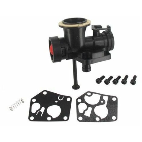 Briggs & Stratton Vergaser am Tank