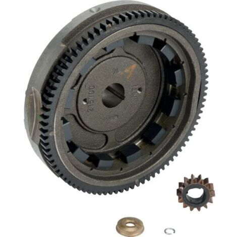 Briggs & Stratton – Volant moteur magnétique complet pour tracteur tondeuse – Pignon démarreur inclus – Compatible modèles 215807, 217807, 219807