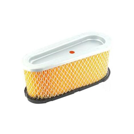 Briggs und Stratton Luftfilter (496894, 493909)