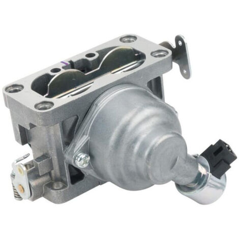 Briggs und Stratton Vergaser - 796997
