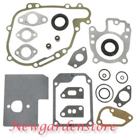 BRIGGS&STRATTON 320026 492872 VANGUARD 5HP jeu de joints segments