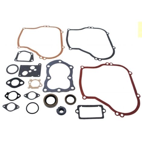BRIGGS&STRATTON jeu de joints moteur tondeuse 100900 130900 131900