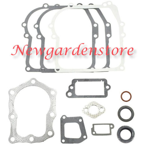 BRIGGS&STRATTON jeu de joints segments 320024 391662 ancien 4HP