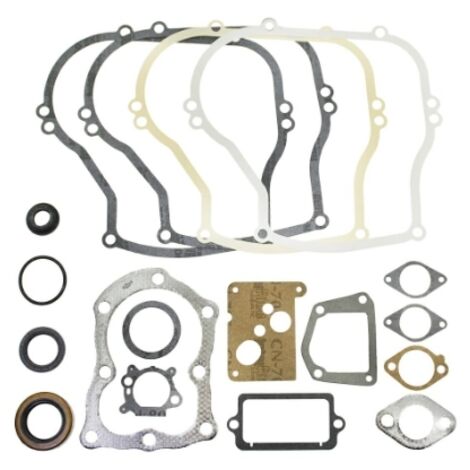 BRIGGS&STRATTON jeu de joints segments 320025 297616 anciens moteurs 5HP